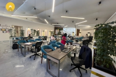 IMG-20250811-WA0005-2